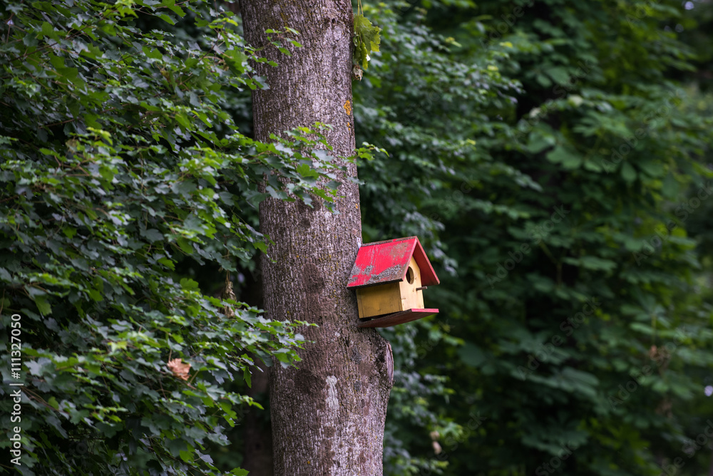 Bird box in the forest Bird box in the forest