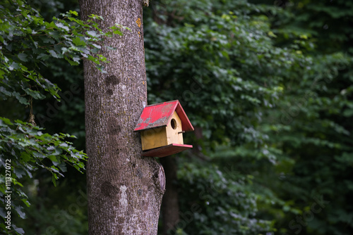Bird house in the forest