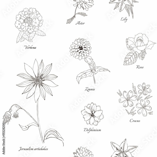 Cute floral seamless pattern. Hand drawn black and white flowers. Botanical vector illustration.