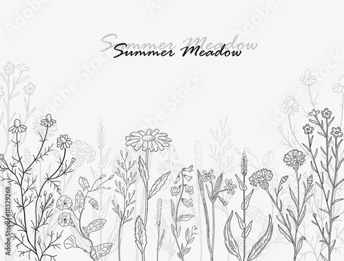 summer meadow card