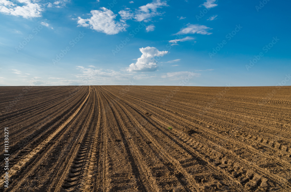 Plowed brown field under blue sky Plowed brown field under blue sky