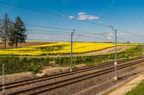 Electrified double track with rapeseed field