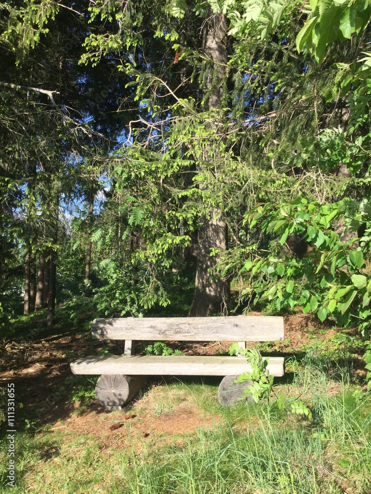 waldbank für pause beim wandern waldbank für pause beim wandern