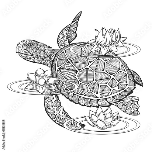 vector sea turtle
