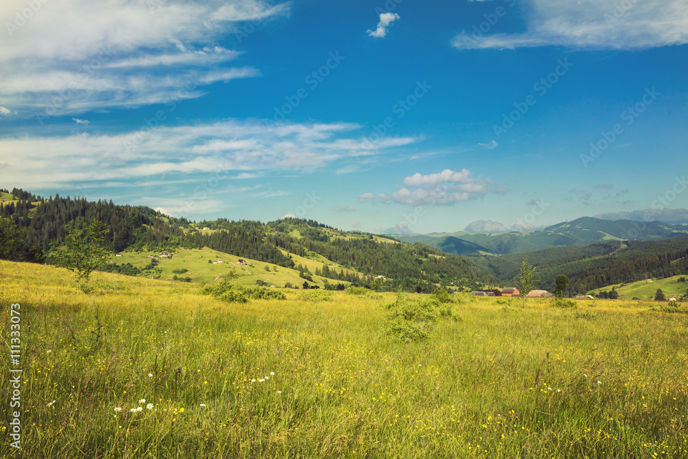 Idyllic landscape in the Alps with fresh green meadows and blooming flowers and snow-capped mountain tops in the background. Retro color.