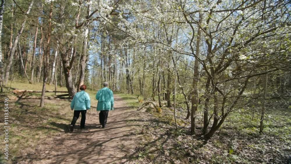 Two elderly woman walking in the spring nature. Two elderly woman walking in the spring nature.