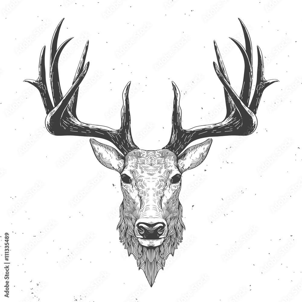 Obraz premium głowa jelenia na białym tle