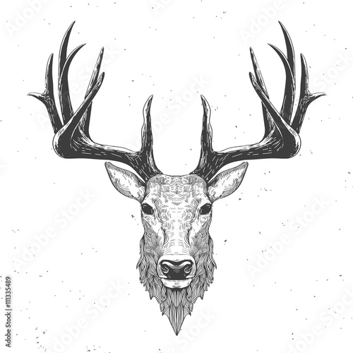 Fototapet deer head on white