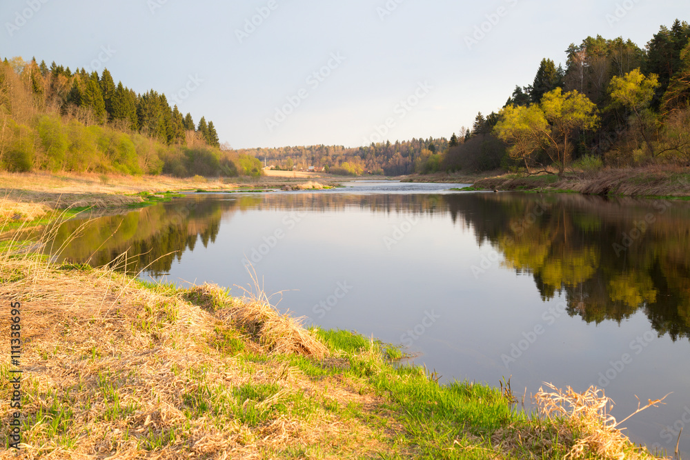 The river bank in the spring lit with the sunset sun