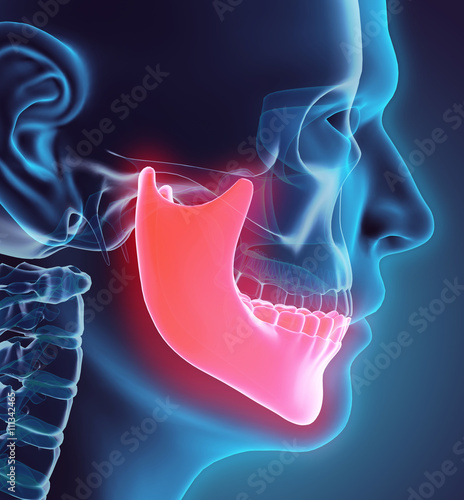 3D illustration of Mandible, medical concept.