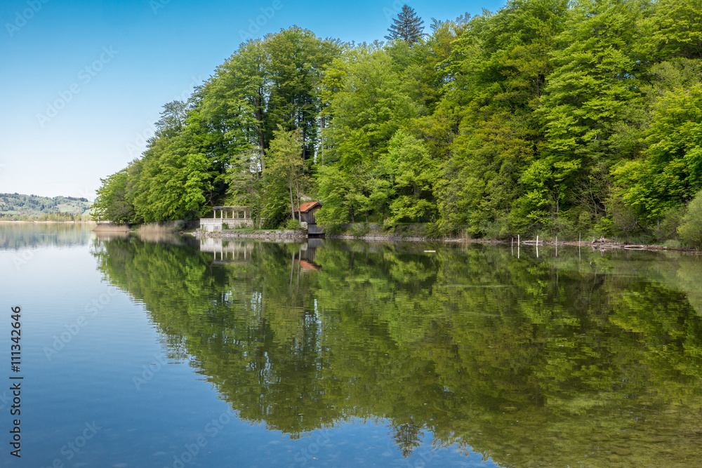 Bewaldetes Ufer des Kochelsees spiegelt sich im klaren Wasser