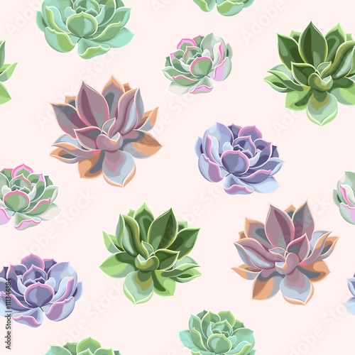 Seamless colorful succulents