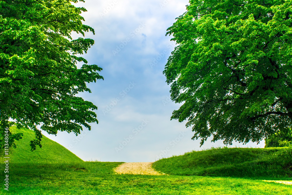 Obraz premium Trees, road, sky.