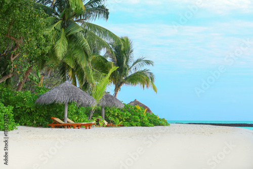 Fototapeta Naklejka Na Ścianę i Meble -  Deck-chairs on the beach under the palm trees.