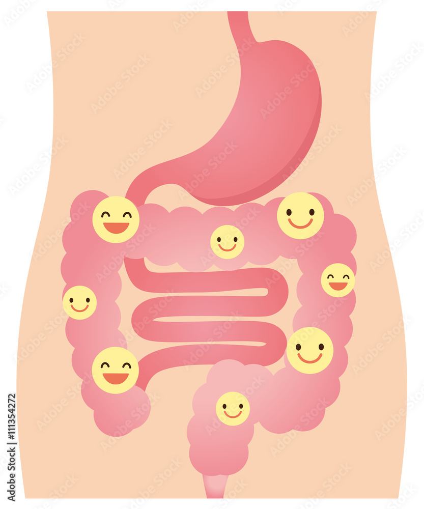 腸 善玉菌 乳酸菌 健康 Stock イラスト Adobe Stock