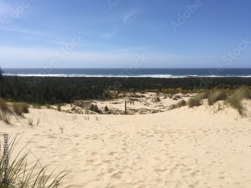 dunes sea view