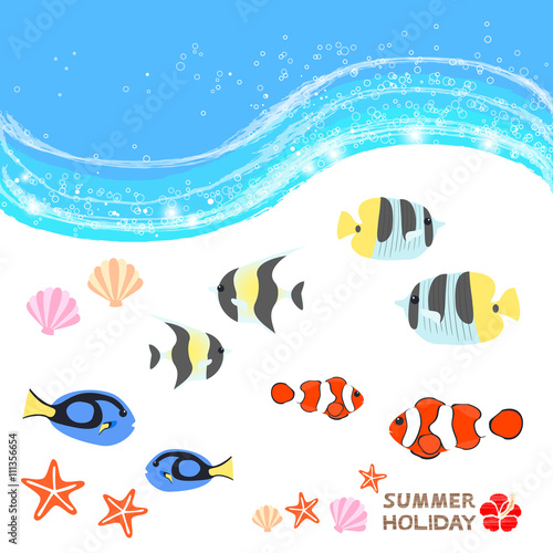熱帯魚　クマノミ　ナンヨウハギ　チョウチョウウオ　セット