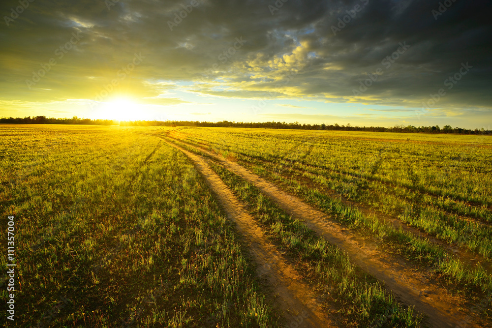Grassland Grassland