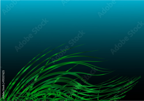 image453