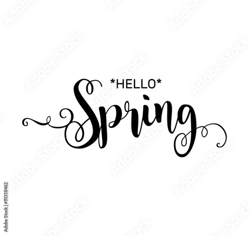 Hello Spring. Beautiful greeting card poster with calligraphy black text word. Hand drawn design elements. Handwritten modern brush lettering on a white background isolated. Vector illustration EPS 10