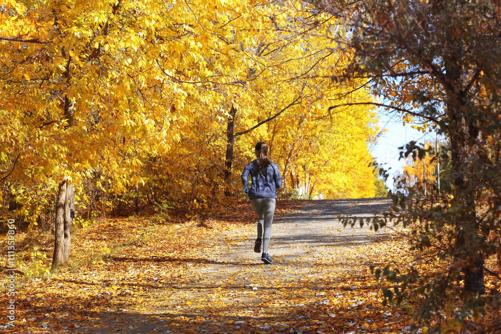 Fototapeta premium Young beautiful woman jogging in autumn park