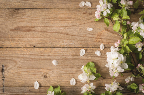Wooden background and blossoms.Beautiful photo for post cards, gift cards etc. Rustic wooden background and apple blossoms. Copy space for text. Dreamy toning