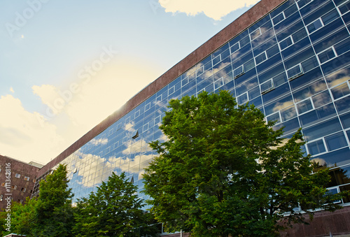 Wallpaper Mural modern building and trees Torontodigital.ca