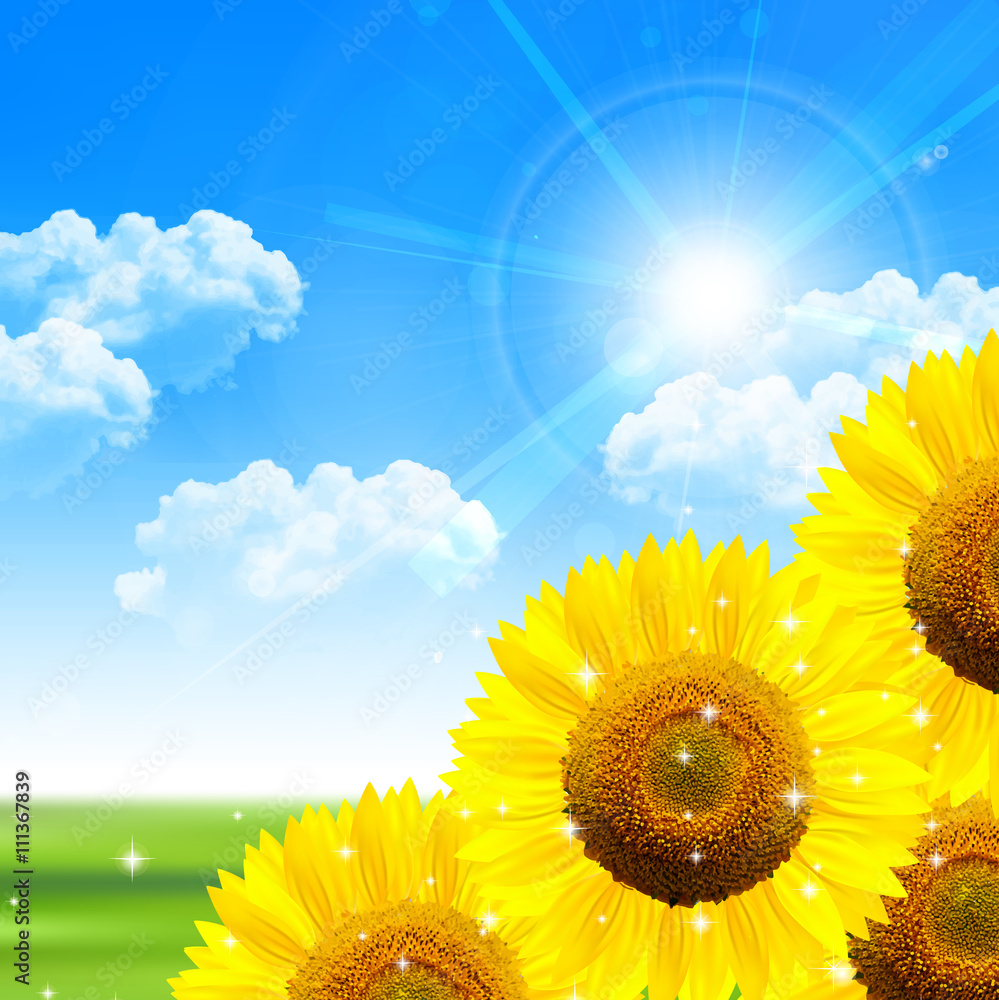 Naklejka premium ひまわり 夏 風景 背景