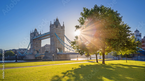London  UK - Iconic Tower Bridge at sunrise in the morning with sunlight  tree  blue sky and green grass