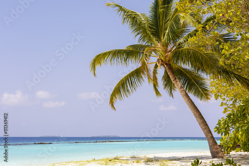 Fototapeta Naklejka Na Ścianę i Meble -  Beautiful island beach with sandspit at Maldives