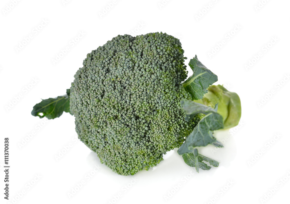 fresh broccoli with leaf on white background fresh broccoli with leaf on white background