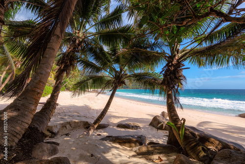 Fototapeta Naklejka Na Ścianę i Meble -  Palm trees on beach Anse Intendance at Seychelles, Mahe. Fashion travel and tropical beach concept