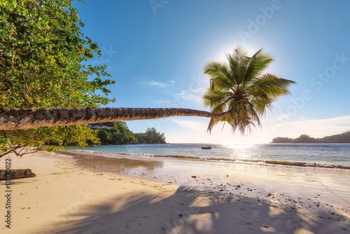 Beach in sunset time on Mahe island in Seychelles. Fashion travel and tropical beach concept