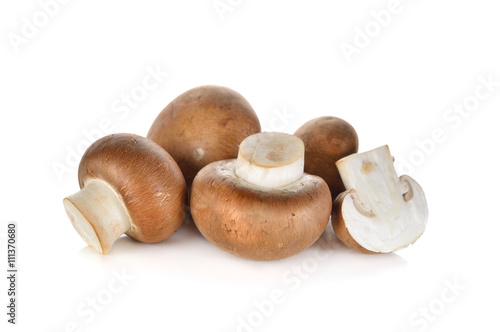 uncooked Swiss champignon brown mushroom on white background
