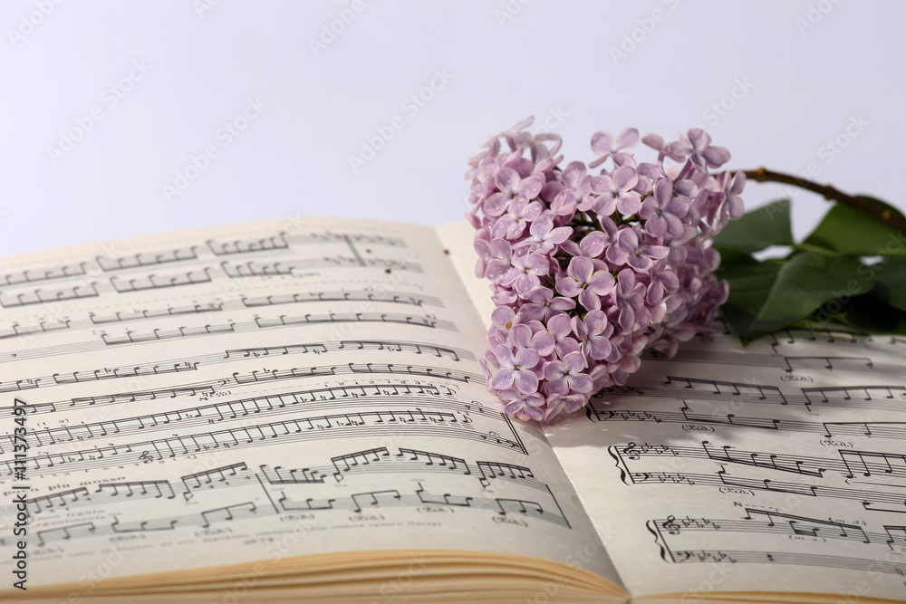 Fototapeta premium lilac branch and music paper