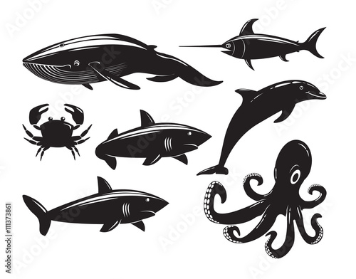 Collection of sea animals isolated on white background.