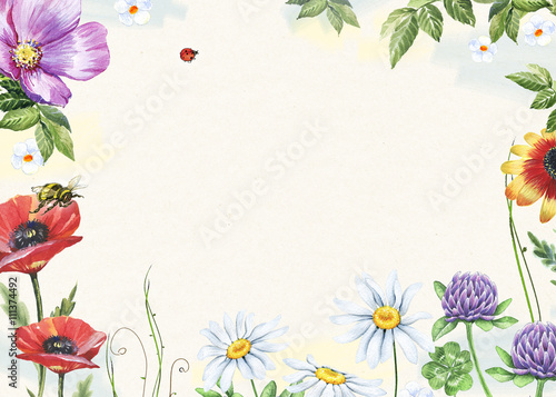 Watercolor floral frame with poppies  clovers  chamomiles  ladybug and bee isolated on white