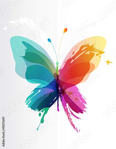 Colorful butterfly created from splash and colored objects.