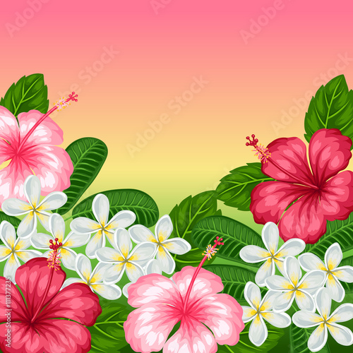 Background with tropical flowers hibiscus and plumeria. Image for holiday invitations, greeting cards, posters