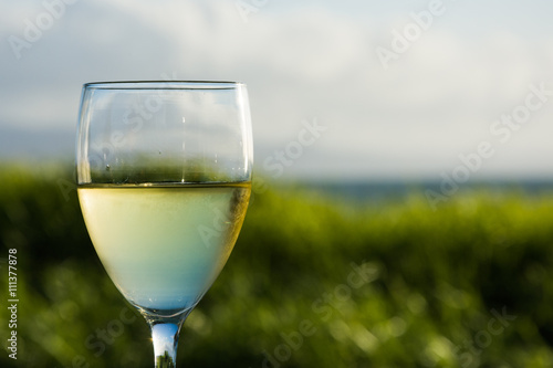 Glas of white wine with gras and ocean background 