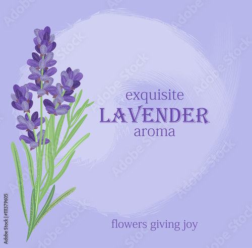 Fototapeta Naklejka Na Ścianę i Meble -  The background for the text label of the packaging the card with lavender flowers.