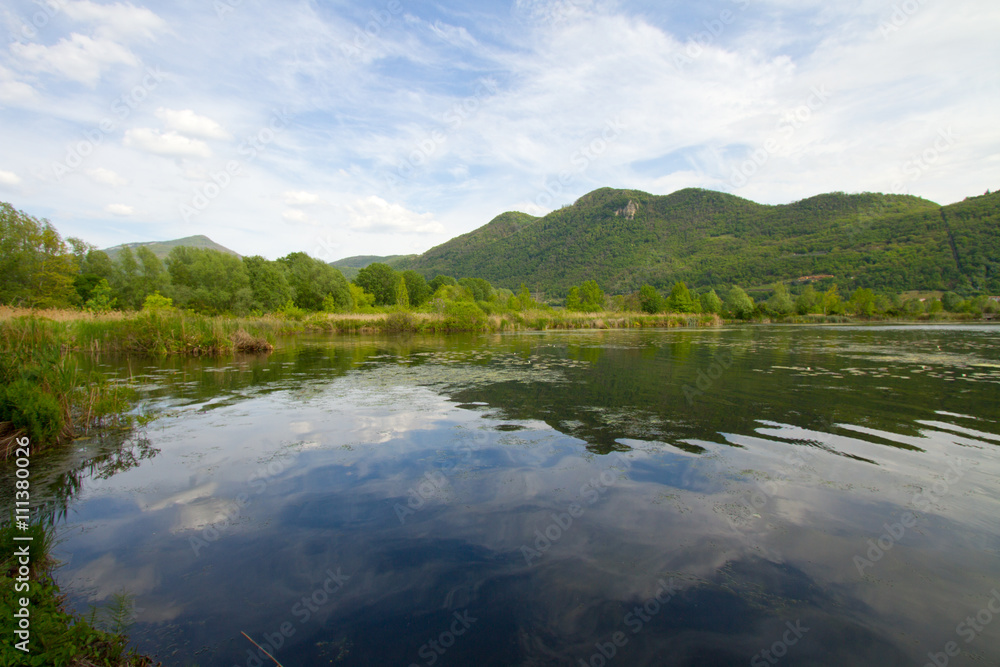 landscape of pond