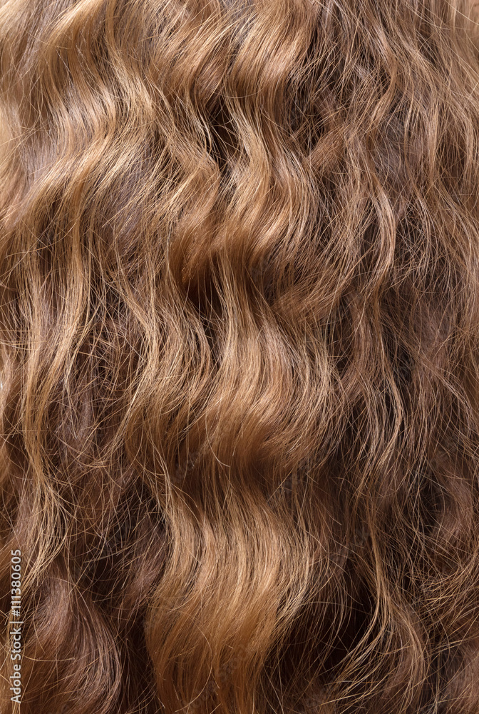 Naklejka premium Manicured luxury shiny wavy brown hair.
