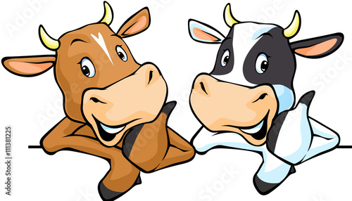All cows recommend with thumb up - cow vector illustration peeking