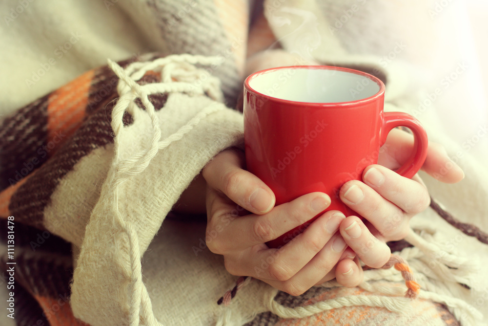 attributes cozy warm holiday home/red cup warming your hands and aroma of hot drink on a background of warm plaid attributes cozy warm holiday home/red cup warming your hands and aroma of hot drink on a background of warm plaid