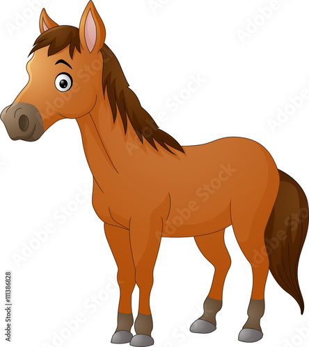 Cute horse cartoon