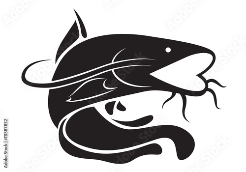 graphic catfish, vector photo