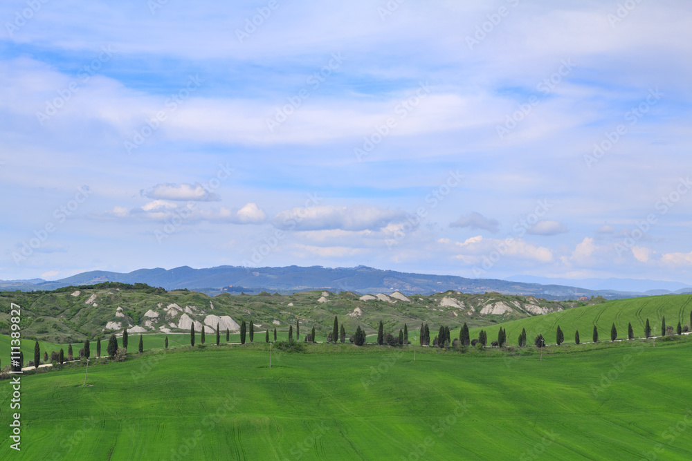 Typical Tuscany landscape springtime