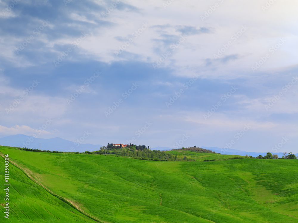 Typical Tuscany landscape springtime