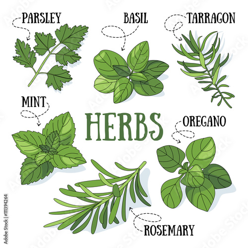 Herbs
